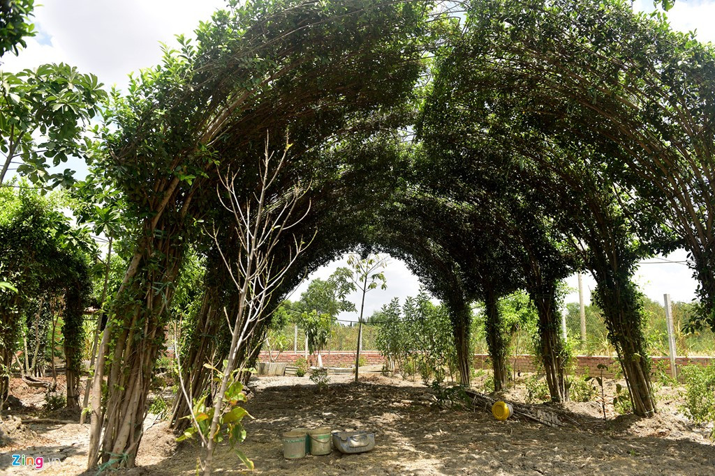 Ảnh: Bên trong khu đất của người bị khởi tố vì dựng chòi vịt