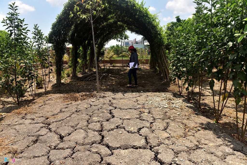 Ảnh: Bên trong khu đất của người bị khởi tố vì dựng chòi vịt