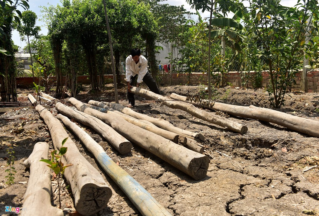 Ảnh: Bên trong khu đất của người bị khởi tố vì dựng chòi vịt