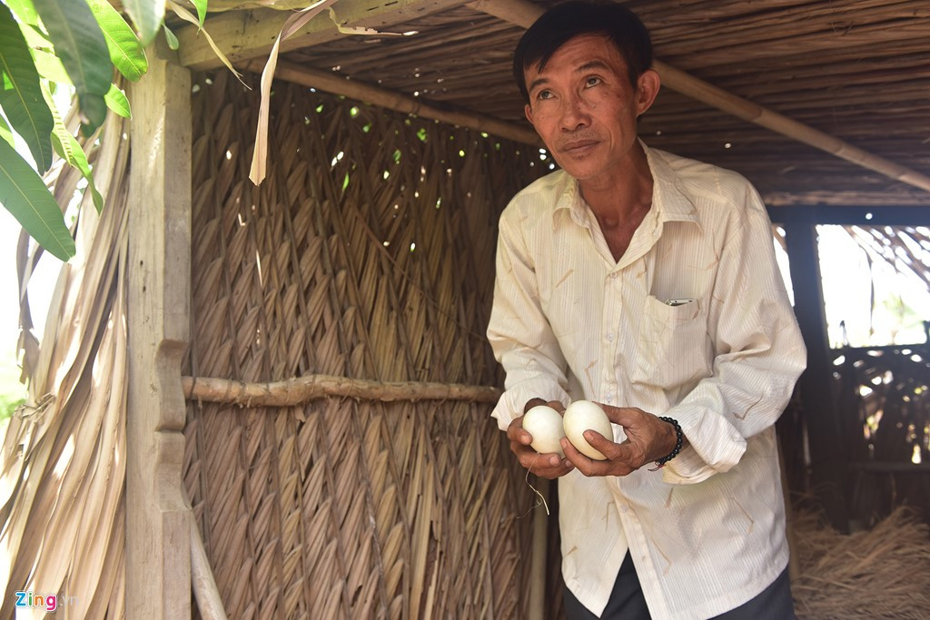 Ảnh: Bên trong khu đất của người bị khởi tố vì dựng chòi vịt