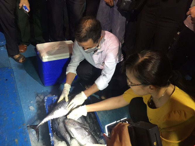 Ảnh: Đón tàu đánh bắt xa bờ cập cảng Nhật Lệ, Bộ trưởng Trương Minh Tuấn ăn cá cùng ngư dân