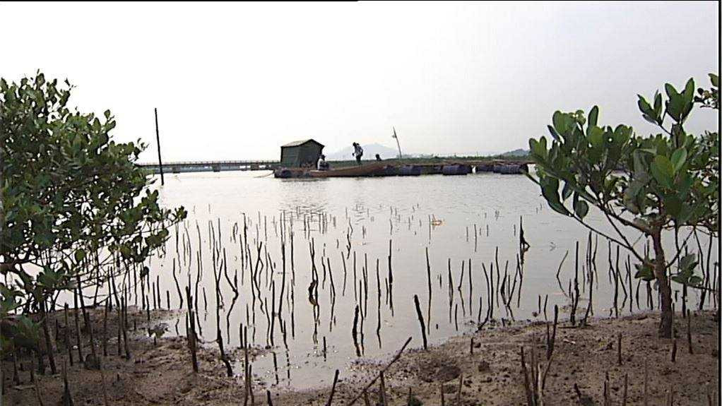 Nơi mua cá thử nghiệm xã Kỳ Hà