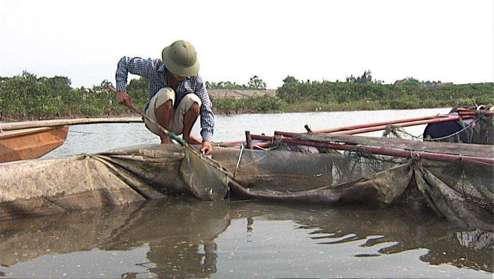 Ảnh hậu trường clip thử nghiệm cá chết sau 2 phút bơi trong nước biển Vũng Áng