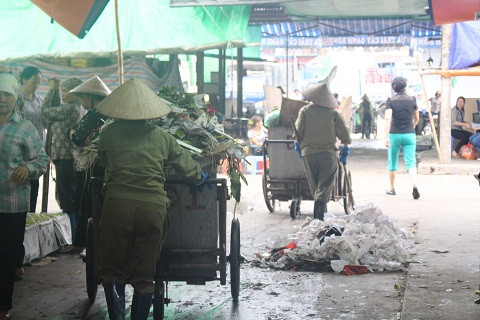 Những con ong chăm chỉ trong, hăng say làm việc