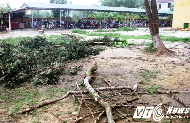 Ảnh: Xóm làng Phong Điền tan tành sau trận cuồng phong chưa từng có ở Huế