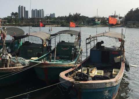 Tàu cá neo tại cảng Đàm Môn trên đảo Hải Nam - Trung Quốc. Ảnh: REUTERS