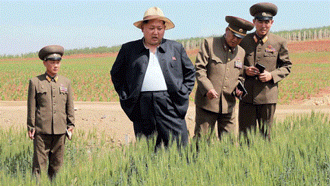 Thân hình phát tướng của ông Kim hồi giữa năm ngoái