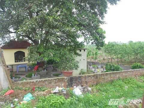 Khu nghĩa địa nằm trong một góc của vườn đào Nhật Tân