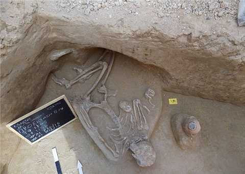 Bộ văn hóa Hy Lạp đang xem xét việc xây dựng một bảo tàng ở khu vực đồng bằng sông Faliron. Ảnh Dailymail