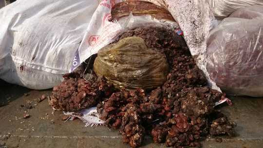 Hàng tấn me bẩn được phát hiện đang chảy nước nhão nhoét, màu đen sì, vón cục...