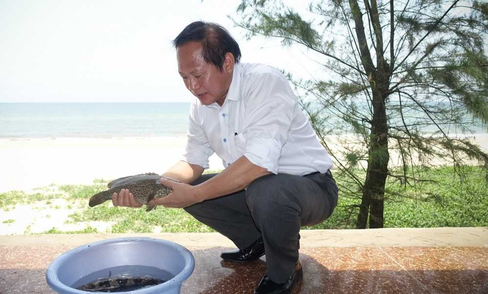 Bộ trưởng Trương Minh Tuấn mời nhà báo ăn cá biển ở Quảng Bình