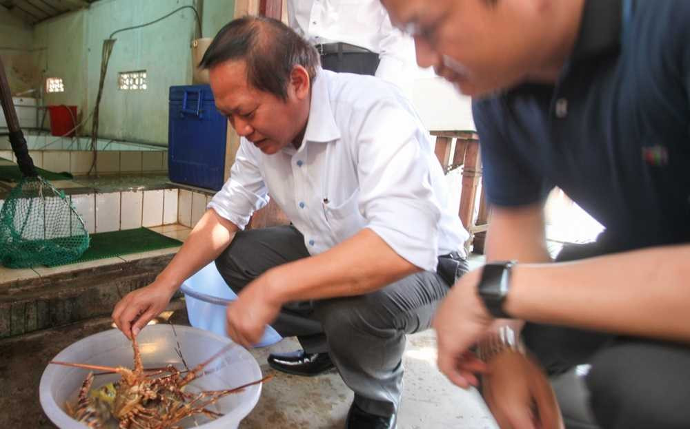 Bộ trưởng Trương Minh Tuấn yêu cầu báo chí cần khuyến cáo người dân và du khách tránh tâm lý lo ngại dẫn đến tẩy chay các loại hải sản có nguồn gốc rõ ràng. 