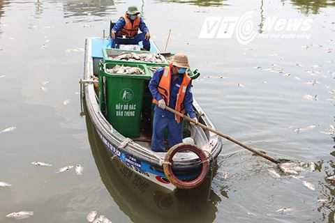 Công nhân vệ sinh môi trường đang xử lý Công nhân vệ sinh môi trường đang xử lý