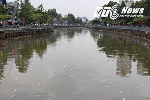 Những con cá từ vài lạng đến chục kg chết trăng kênh khiến nhiều người dân đi qua ai cũng xót xa Những con cá từ vài lạng đến chục kg chết trăng kênh khiến nhiều người dân đi qua ai cũng xót xa