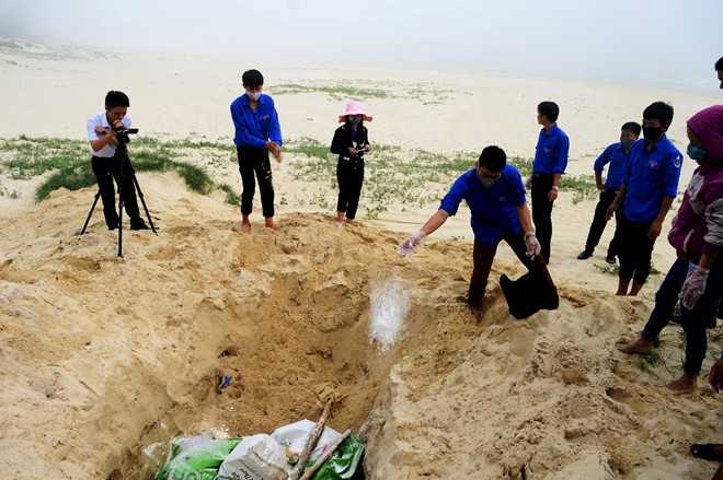 Đoàn viên, thanh niên huyện Quảng Ninh xử lý cá chết tại xã Hải Ninh. Ảnh: Văn Được