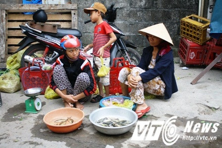 Nhiều tiểu thương bán cá biển và ngư dân đang lao đao trước tình trạng cá chết hàng loạt nghi do nhiễm độc và người dùng quay lưng với cả biển.
