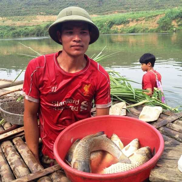 Sáng 6/5, cá nuôi lồng của 7 hộ dân trên địa bàn xã Thành Mỹ cũng đã chết