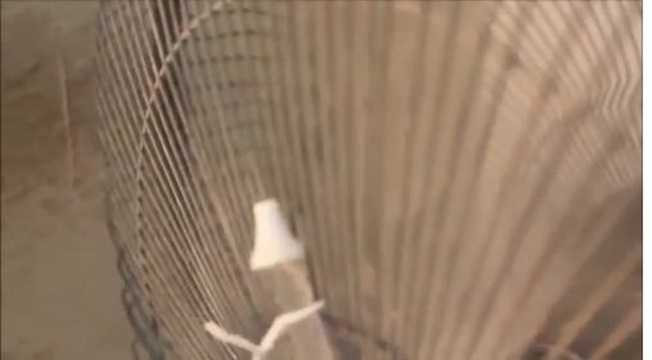 Sau đó bật quạt lên và cảm nhận độ mát từ chiếc quạt phun sương tự chế mới.