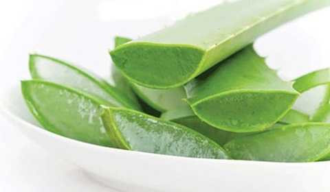 Cách làm sữa chua nha đam vinamilk đơn giản mà ngon tại nhà