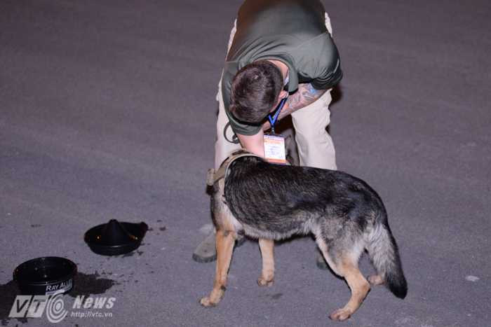 Nhân viên an ninh dắt chó nghiệp vụ đánh hơi xung quanh khu vực máy bay hạ cánh - Ảnh: Tùng Đinh