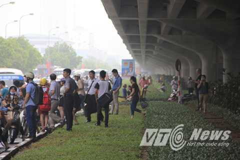 Nhiều người trèo lên cả thảm cỏ để di chuyển.