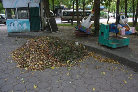 Khung cảnh hoang tàn trong khuôn viên công viên tuổi thơ. 