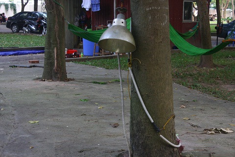 Dây điện nhăng mắc khắp nơi.