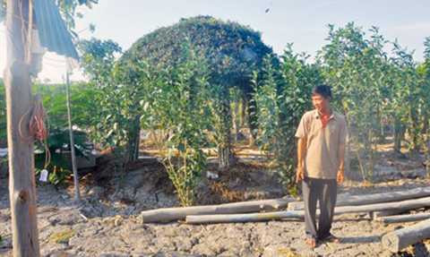 Ông Nguyễn Văn Bỉ trên khu đất vườn nơi ông cất chòi nuôi vịt. Ảnh: Việt văn Ông Nguyễn Văn Bỉ trên khu đất vườn nơi ông cất chòi nuôi vịt. Ảnh: Việt văn