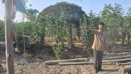 Ông Bỉ trên khu đất xây dựng chòi lá của mình bị khởi tố. 