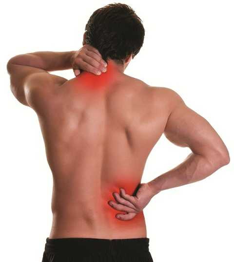 Dân gian hay dùng để chữa đau lưng nhức mỏi Dân gian hay dùng để chữa đau lưng nhức mỏi