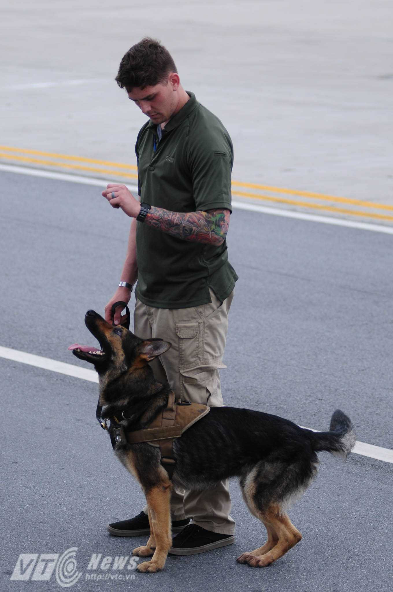 Những chú chó rất nhanh nhẹn, tinh nhuệ - Ảnh: Tùng Đinh