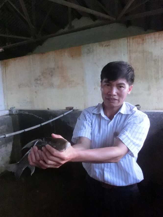 Kiểm tra cái anh vũ