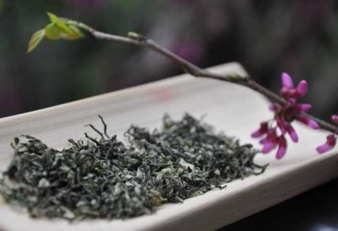 Trà Đại Hồng Bào là một trong những loại trà đắt nhất thế giới. (Nguồn: Sina)