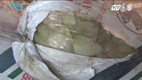 … được đựng trong những bao nilon đã ngả màu, bốc mùi khó ngửi … được đựng trong những bao nilon đã ngả màu, bốc mùi khó ngửi