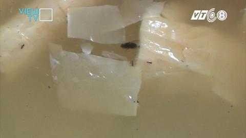 Thậm chí ruồi chết nổi lềnh phềnh lẫn trong nước ngâm măng Thậm chí ruồi chết nổi lềnh phềnh lẫn trong nước ngâm măng