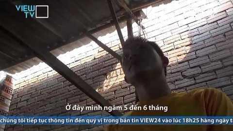 ... không ai nghĩ là chúng được nhập về cách đây hơn nửa năm