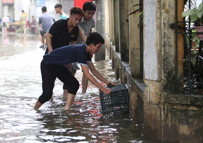 Nguồn ảnh:Vnexpress