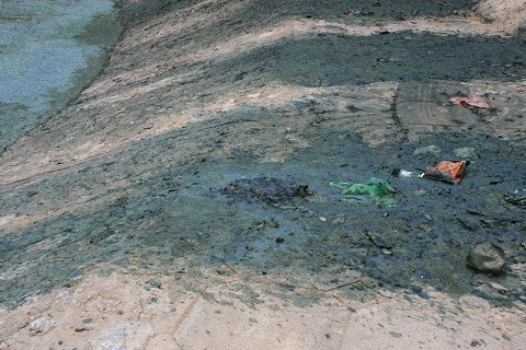 Trong đống rác thải được vớt lên có cả rác thải sinh hoạt.