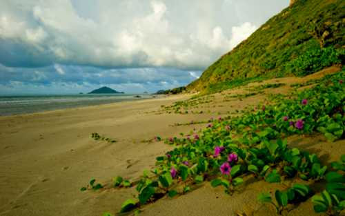 Côn Đảo nằm trong top 10 hòn đảo quyến rũ nhất hành tinh. (Ảnh: Pystravel).