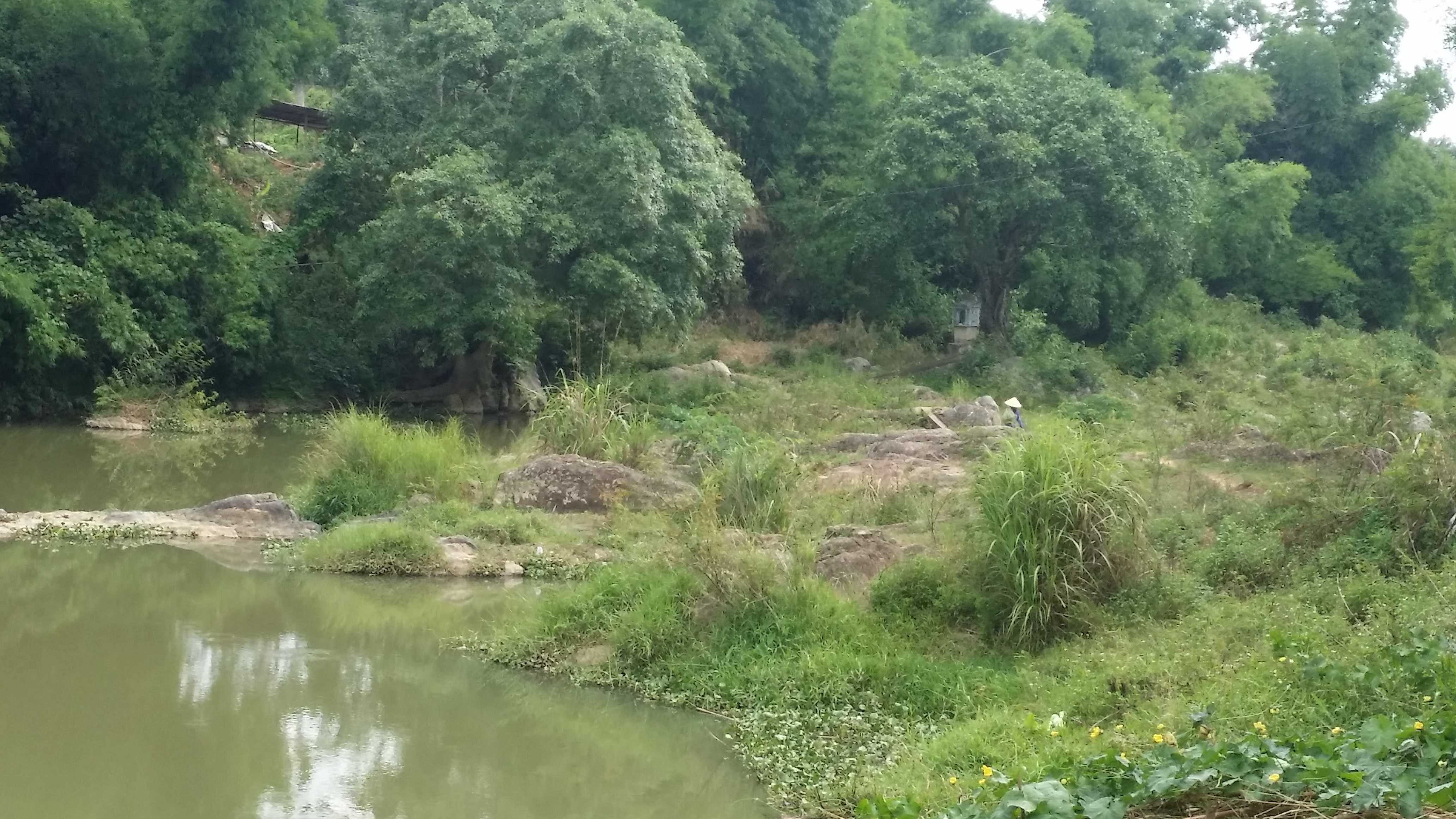 Suối La La - nơi xảy ra sự việc.