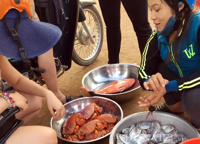 Nhiều người tiêu dùng rất ưa chuộng loại cua này dù giá khá chat