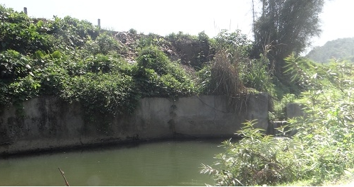 Con suối nơi cháu M.chết đuối thương tâm