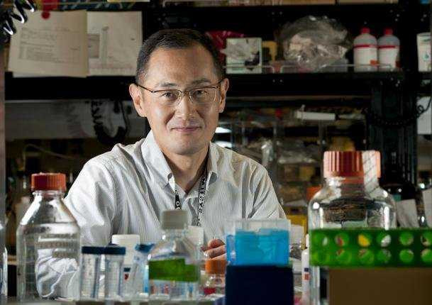 Giáo sư Shinya Yamanaka, một trong hai tác giả đoạt giải Nobel Y học năm 2012