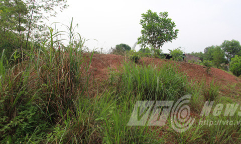 Nơi đây từng có ngôi miếu cổ