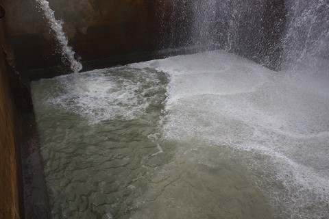 Cận cảnh hàng ngàn m3 nước thải chưa qua xử lý của công ty CP mía đường Hòa Bình.