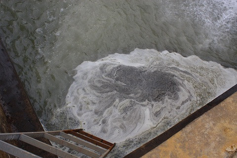 Lương nước thải chưa qua xử lý đổ ra sông Bưởi là nghi vấn dẫn đến tình trạng cá chết hàng loạt.