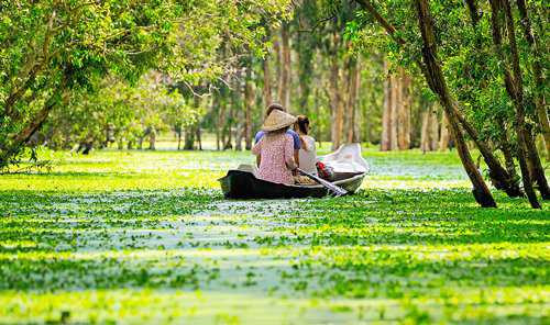 Du khách sẽ không thể quên cảm giác chèo xuồng ba lá, len lỏi theo những con rạch vào thật sâu trong rừng tràm ngút ngàn cây lá. (Ảnh: Internet). Du khách sẽ không thể quên cảm giác chèo xuồng ba lá, len lỏi theo những con rạch vào thật sâu trong rừng tràm ngút ngàn cây lá. (Ảnh: Internet).