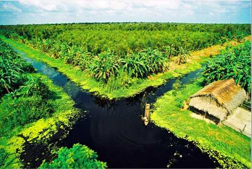 Không gian bao la trong buổi bình minh Cà Mau.(Ảnh: Internet). Không gian bao la trong buổi bình minh Cà Mau.(Ảnh: Internet).