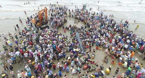 Lực lượng cứu hộ khẩn trương tạo lạch nhân tạo để cung cấp đủ nước và ô xi duy trì sự sống cho cá voi