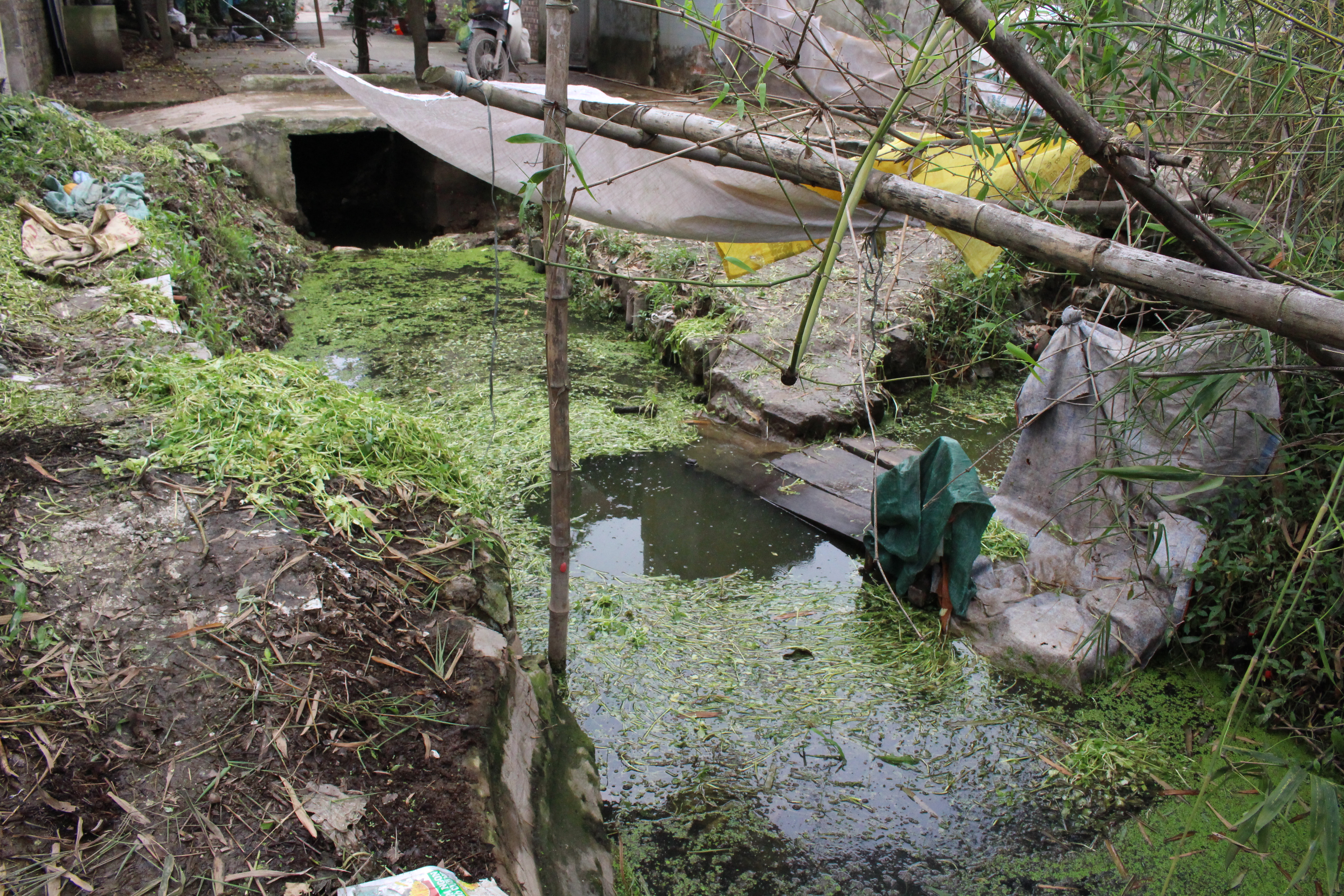Nơi rửa rau là những con mương bẩn thỉu, bốc mùi hôi thối - Ảnh Ngọc Thắng